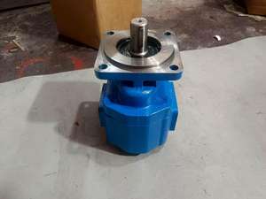 Pompe à engrenages hydraulique Hansen JHP2080 - Origine Shandong - Garantie 1 an - Certifiée avec rapport et inspection vidéo - Product Image 4