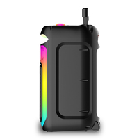 Enceinte portable 40W RMS Karaoké avec 2 micros sans fil, lumière LED, USB, TF, FM, télécommande, rechargeable 3000mAh