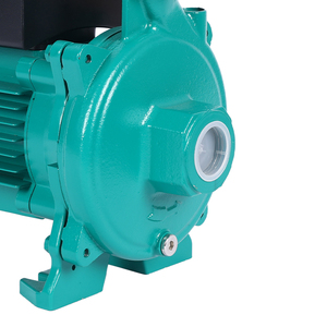 Pompe à eau centrifuge haute performance pour l'irrigation agricole et l'alimentation en eau domestique - Product Image 3