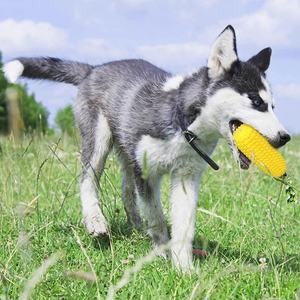 हॉट सेलिंग आइटम कुत्ते चउ खिलौने अविनाशी कठिन टिकाऊ स्क्वीकी इंटरैक्टिव पिल्ला दांत चबाना - Product Image 6