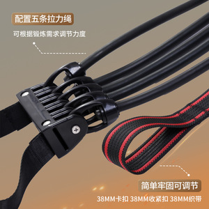 Bande de résistance Safe Wolf Multi-trainer, résistance moyenne, équipement de fitness à domicile, ceinture d'assistance pour tractions, pour le remodelage corporel - Product Image 3