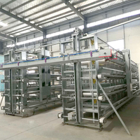 Ferme de poulets à prix d'usine cage de couche automatique ferme de volaille cage de treillis métallique en fer soudé treillis métallique en acier galvanisé compétitif