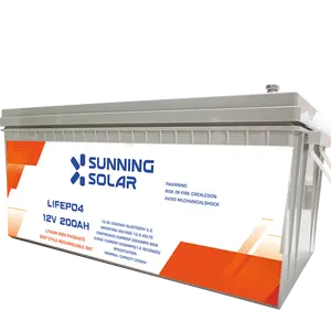 SUNNING NEW Energy Lithium Battery 12V 100AH /200AH 24V 100AH Lithium Battery