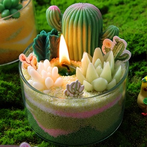 Kit <span class=keywords><strong>de</strong></span> Fabricación <span class=keywords><strong>de</strong></span> Velas Personalizadas OEM ODM, Mini Cactus Bonsái, Kit <span class=keywords><strong>de</strong></span> Bricolaje <span class=keywords><strong>para</strong></span> Hacer Velas, Decoración y Aromatización del Hogar - Product Image 4