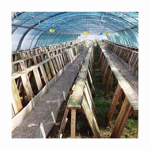 <span class=keywords><strong>Serre</strong></span> <span class=keywords><strong>d</strong></span>'élevage <span class=keywords><strong>d</strong></span>'escargots multi-tunnels en arche 12S 15S avec film PO et <span class=keywords><strong>filet</strong></span> <span class=keywords><strong>d</strong></span>'<span class=keywords><strong>ombrage</strong></span>, structure en tubes <span class=keywords><strong>d</strong></span>'acier galvanisé - Product Image 3
