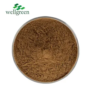 Free Sample 100% Pure Natural Plant Extract Black Tea Extract Powder Water Soluble Black Tea Powder