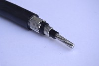 Câble Électrique Concentrique Anti-Vol à Conducteur en Cuivre 1 Cœur 4mm 6mm 8mm 10mm 16mm - Prix