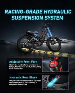 Vélo électrique tout-terrain 48V 250W à pneus larges 26 pouces avec transmission Shimano 7 vitesses – Modèle Australie - Product Image 5