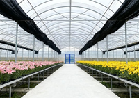 Serre multispan à bas prix pour légumes Serre agricole rentable de qualité supérieure Serre personnalisée à vendre