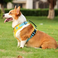 Harnais pour chien rembourré de qualité supérieure, sans traction, réglable, réfléchissant, en maille respirante, en polyester, avec fermeture à bouton, pour petite race, personnalisé