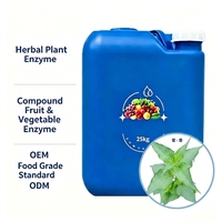 Enzyme d'Agastache Liquide de Haute Pureté, Extrait Botanique Bio-fermenté Naturel, Qualité Alimentaire, Fût de 25 kg, Apaise Toutes Saisons