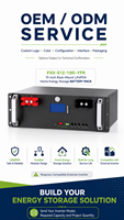 Fuxile FXX-512-100-YFR Baterai Penyimpanan Energi Surya Rumah Tangga LiFePO4 51.2V 100Ah yang Dipasang di Rak dengan BMS Output 5-10kW CAN/RS485/RS232