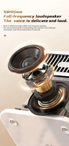 Nouveau Mini haut-parleurs Audio maison Microphone Portable sans fil haut-parleur TF carte Aux Audio câble lecteur CD haut-parleur stéréo extérieur - Product Image 3