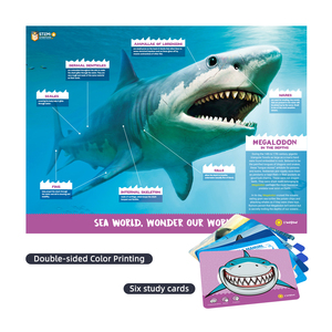 Juguete Educativo CPC para Niños, Regalo de Aprendizaje y Diversión, Kit de Fabricación de Pulseras de Perlas, Kit de Excavación de Animales Marinos, Rompecabezas de Peces, Juguetes STEM de Tiburón - Product Image 6