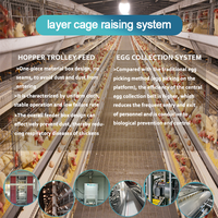 Équipement pour volaille Cage automatique pour poules pondeuses à 4 niveaux Cage pour volailles ramassant des œufs de poule Cage pour poules pondeuses pour nouvelle ferme
