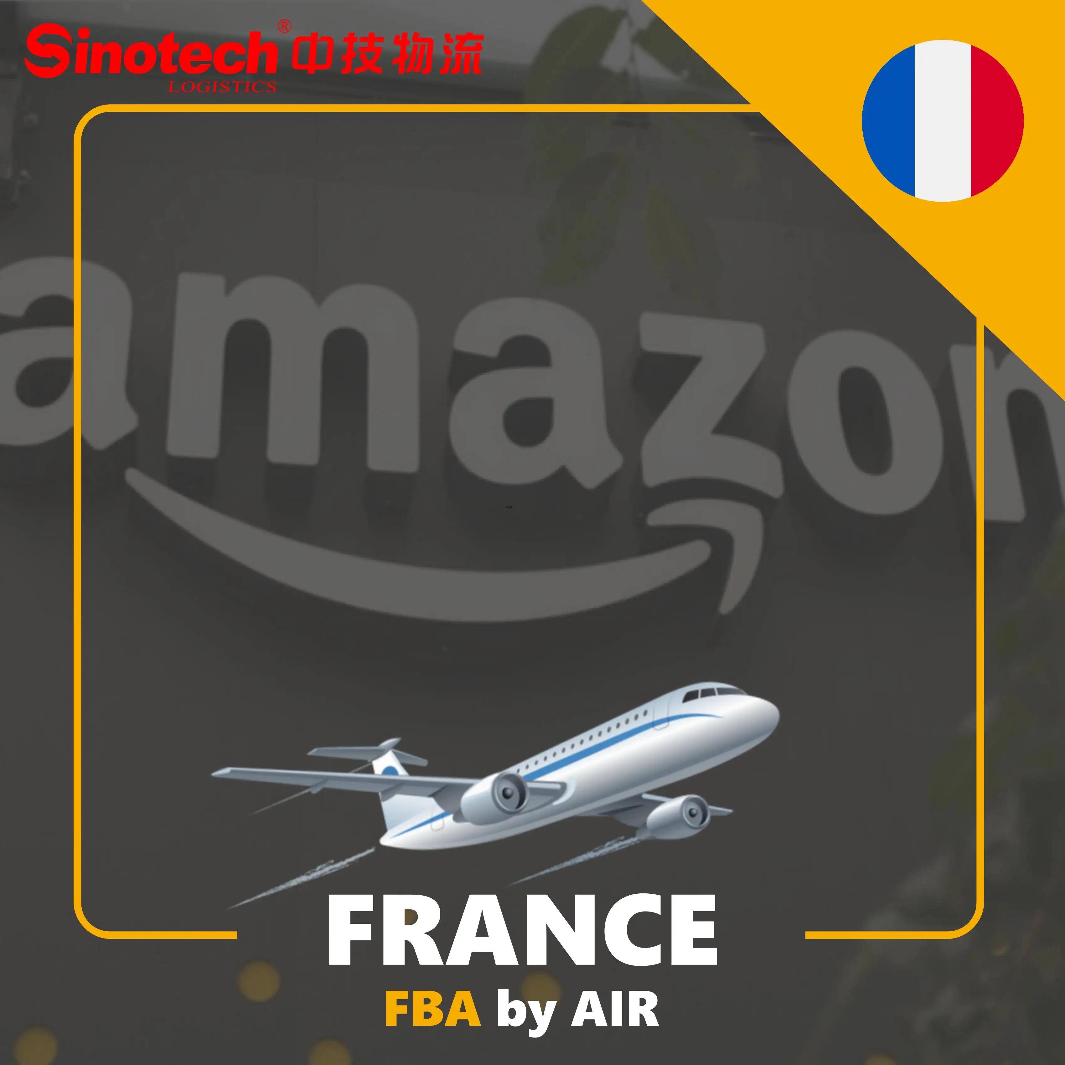 Expédition rapide de DDU DDP de fret aérien FBA vers Amazon Warehouse France Europe