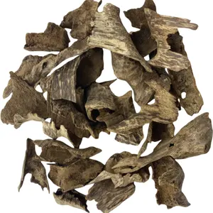 High-Quality Aged Oud Wood Chips - Natural Wildcrafted Oud Wood