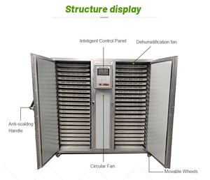Máquina Deshidratadora de Alimentos de Gran Capacidad para Verduras, Frutas y Carne, Deshidratador Industrial por Congelación, Uso Comercial, 15W de Potencia, 1 Año de Garantía - Product Image 3