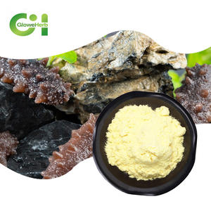 Organik % denizhıyarı özü tozu kurutulmuş % denizhıyarı toz - Product Image 1