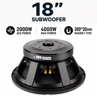 Subwoofer passif professionnel en métal de 18 pouces, 2000W RMS, haut-parleur PA, bobine vocale de 152 mm, aimant de 300 mm, système audio de scène respectueux de l'environnement