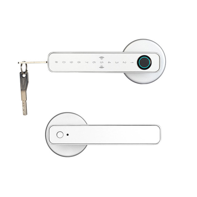 Smart Lock Door with Card Access Cheap Oem Smart Door Lock Security Smart Door Handle Lock with Fingerprint