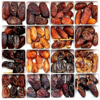 Bon prix machine commerciale automatique de fabrication de pâte de dattes équipement de broyage de pâte de palme jujube dattes industrielles pour la vente