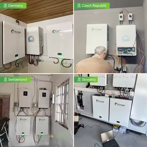 ระบบพลังงานแสงอาทิตย์แบบไฮบริด Sunpal 5Kw 8Kw 10Kw ระบบโซลาร์เซลล์แบบออนกริดและออฟกริดครบชุด SP10KW-HY แบตเตอรี่สำหรับระบบโซลาร์เซลล์แบบออนกริด - Product Image 6