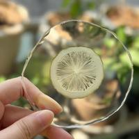 Handgemaakte epoxyhars onderzetters met echte fruitschijfjes, hittebestendig design - perfect voor thuis, kopjesonderzetter, keuken, café decoratie, cadeau