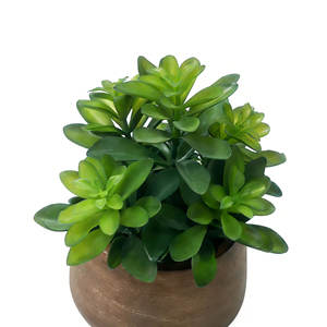 Plante succulente artificielle en <span class=keywords><strong>laurier</strong></span> dans un pot en papier mâché, plante en faux jade, faux bonsaï succulent pour la décoration moderne de la maison et du bureau - Product Image 4