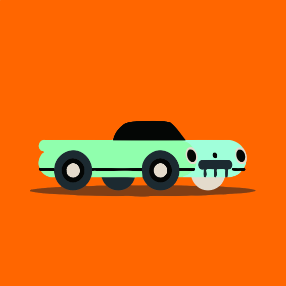 RAM20494