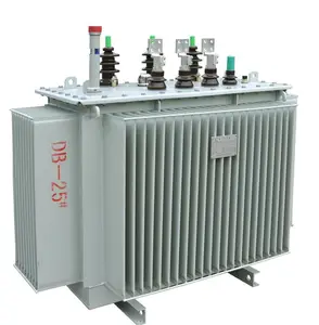 छोटे क्षमता S11 160kVA 11KV 415V कदम नीचे तेल डूबे बिजली ट्रांसफार्मर