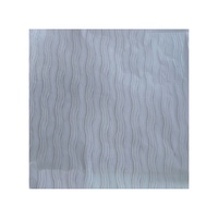 Plaques de plafond en PVC perforées imperméables et ignifuges pour la décoration des salles de bain et des magasins