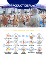 Usine d'abattage de volailles complète de A à Z, certifiée CE ISO, 1000-2000BPH, en acier inoxydable SUS304, solution clé en main, homologuée Halal