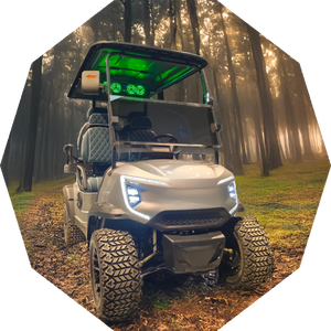 รถกอล์ฟไฟฟ้าสำหรับล่า4X4 4ที่นั่ง3500W - Product Image 3