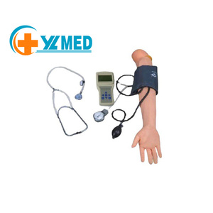 Modèle de bras droit adulte avec fonction de mesure de la pression artérielle modèle d'enseignement de bras de formation médicale multifonctionnel - Product Image 2