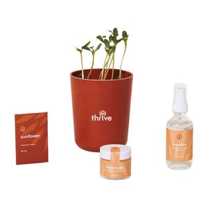 Shine Bright-Kit de positivité radieuse pour kit de méditation consciente Kit de culture de bambou tournesol pour cadeau coopératif - Product Image 4