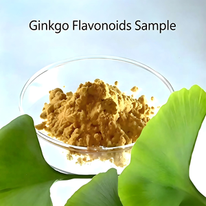 Poudre d'extrait de feuille de <span class=keywords><strong>Ginkgo</strong></span> <span class=keywords><strong>Biloba</strong></span> naturelle à base de plantes, stimulant l'immunité, compatible végétalien, pour adultes, durée de conservation de 2 ans, personnalisable - Product Image 6