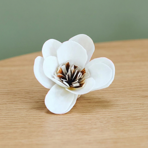 Wholesale White 5 cm Sola Wood Environmental Friendly Thailand Dried <b>Reed</b> <b>Diffuser</b> Decorative Wedding Indoor Flowers Plants - Product Image 3