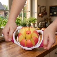 Groothandel Grote Maat RVS 8-delige Scherpe Appelsnijder Fruit Snijder Keuken Gadgets voor Commercieel en Thuisgebruik