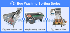 เครื่องคัดแยกไข่ไก่ <span class=keywords><strong>ไข่</strong></span>นกกระทา <span class=keywords><strong>ไข่</strong></span>เป็ด <span class=keywords><strong>ไข่</strong></span>ห่าน ผลิตในจีน พร้อมเครื่องชั่งน้ำหนักแ<span class=keywords><strong>ละ</strong></span>จัดเรียงขนาด <span class=keywords><strong>ราคา</strong></span>สำหรับฟาร์ม - Product Image 4
