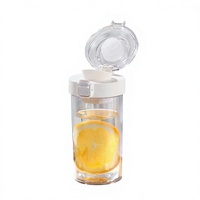 Bouteille d'eau double paroi PC style japonais-coréen avec infuseur à thé – Tasse de voyage sportive minimaliste style Instagram pour étudiants – Vente en gros