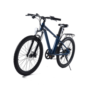 Vélo Électrique Homologué Route au Royaume-Uni, E-Bike Glace, Batterie Mixte 36V, Autonomie >60km, 25km/h, pour Adultes, En Stock - Product Image 1