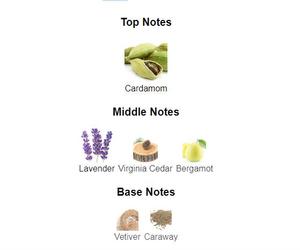 Huile de <span class=keywords><strong>parfum</strong></span> de créateur originale en gros - Product Image 3