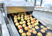 Commerciële Automatische Transportbandsorteermachine Voor Fruit En Groente Sortering Van Efficiënte Groenten-En Fruitsorteeranalyse