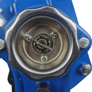 Xinghan cẩu chất lượng tốt Hướng dẫn sử dụng <span class=keywords><strong>LEVER</strong></span> hoist 0.75t-9t tay đòn bẩy khối - Product Image 5