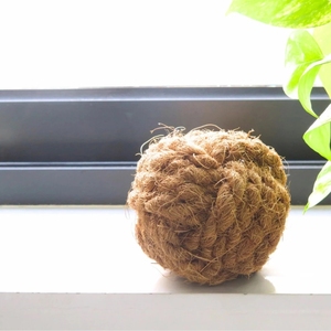 ของเล่นสำหรับสัตว์เลี้ยงเคี้ยวลูกมะพร้าวเคี้ยวแข็งแรงธรรมชาติทำความสะอาดฟันจากเวียดนาม - Product Image 2