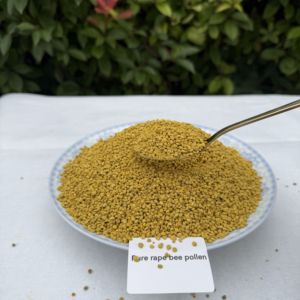 Polen de Abeja de Colza en Polvo Puro al por Mayor - Grado Alimenticio, Suministro a Granel con Empaque Estándar a Precio Competitivo - Product Image 6