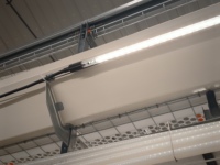 Lampes LED pour volailles, poulets de chair et reproducteurs, 2700K-5000K, lumières bleues, rouges et chaudes, dimmables, IP67, sans scintillement, tubes LED 9W