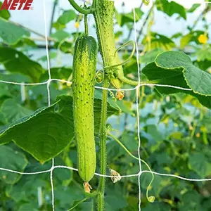 Tuin Komkommer Trellis Net Voor Kruipen Plastic Plant Ondersteuning Klimgaas