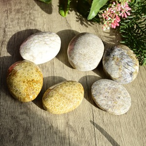 Wholesale High Quality Natural Healing Palm <strong>Stone</strong> Coral <strong>Jade</strong> Palm <strong>Stone</strong> for Home Decoration and Christmas Gifts - Product Image 2